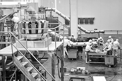 視覺新聞 肉制品及副產品加工的現代化轉型